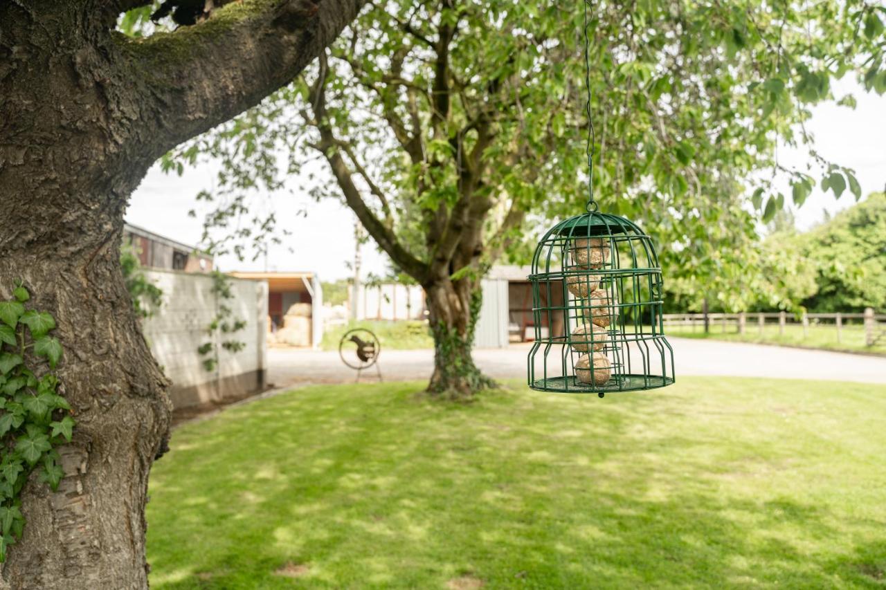 Pass The Keys The Lodge At Point House Farm - Sleeps Up To 6 เชสเตอร์ ภายนอก รูปภาพ